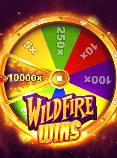 Bingo ticket game cover